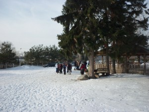 kulig014   